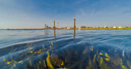 Peinard comme à Penmarch 4