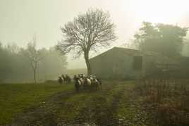 Ambiance pastorale.