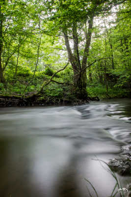 La rivière.