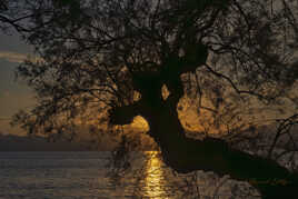 Dernier rayon de soleil