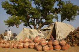 Aux confins du désert