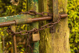 Enfermée.......la vachette