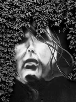 chevelure végétale