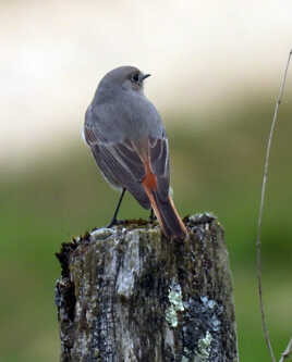 un air de super hero