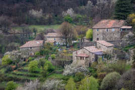 Village