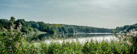 Lac de Bambois