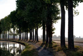 Canal au petit matin