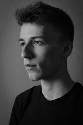 Auto portrait critique