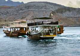 Rencontre avec les dauphins !