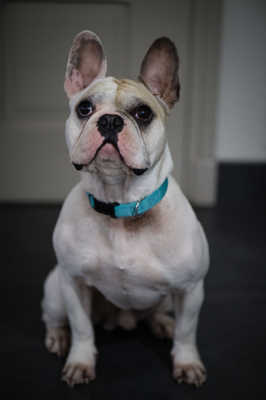 Il parait qu'y a du boulot ?