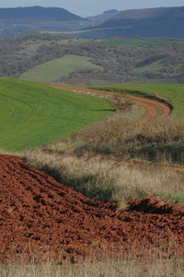 Terre d'Aveyron