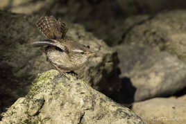 Prêt au décollage...