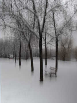 En attendant le printemps