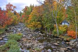 Couleurs d'automne