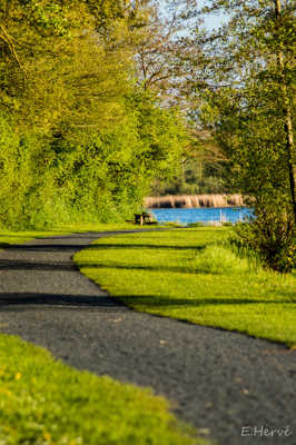 chemin au bord de l eau