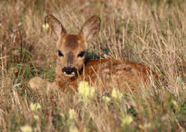 On touche avec les yeux !
