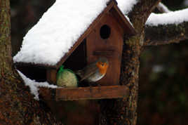 On est bien à la maison...