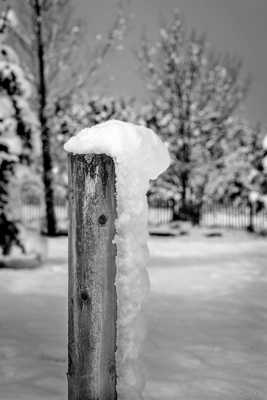 C'est le premier...mais !!!(2)