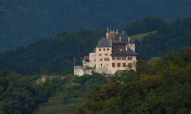 Chateau en forêt