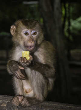 L'heure du gouter...