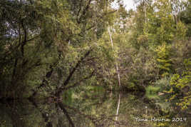 Au fil de l'eau ... suite