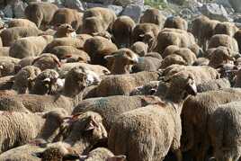 Estive en Queyras