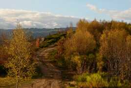 Couleurs chaudes d'automne