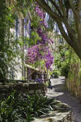 Petite rue à Grimaud