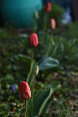 rouge en enfilade