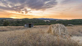 Provence Countryside