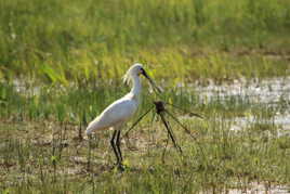 quels materiaux choisir
