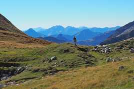 Bipède en vue