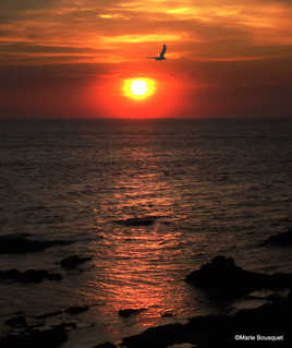 L'aube caresse les rochers