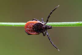 Je vous accueille les bras grands ouverts