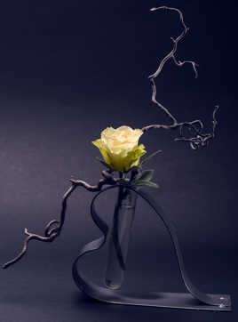 Une rose pour la Saint Valentin