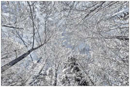 En levant les yeux au ciel !!