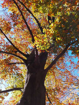 Namur - Automne 2016