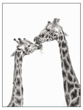 Partage et tendresse