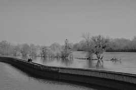 Balade entre Loire et Canal