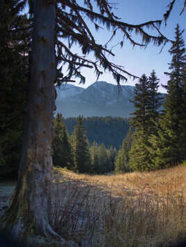 Les couleurs me manquent