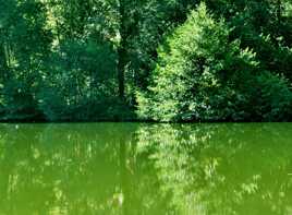 Le lac vert