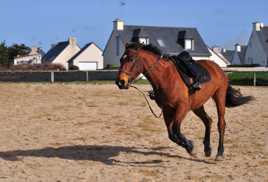 pas question de partager ma selle !!!