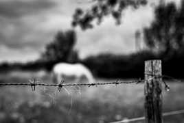 Aie!!! --> distanciation physique de sécurité.