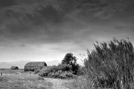 Le village des pêcheurs