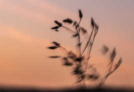 essai flou créatif 1