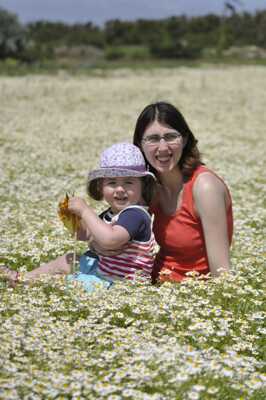 deux belles fleurs parmi les paquerettes