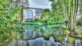 Derrière le Cirque !