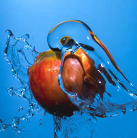 Toujours laver les fruits avant de les croquer