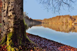 Balade au soleil d'automne