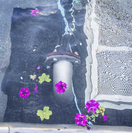 Petit brin de poésie